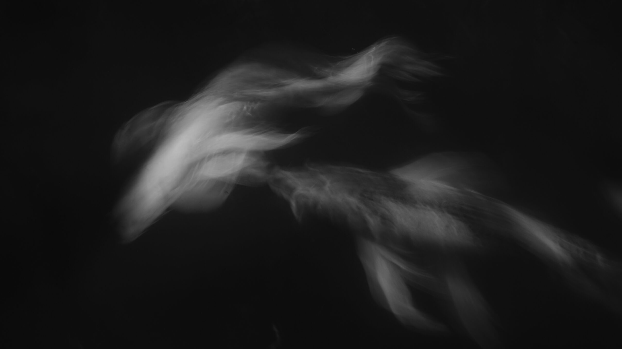 【写真部】ニコンTopEye　新人賞、入選　受賞！